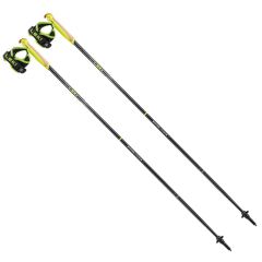 Leki EvoTrail FX. One TA Baton 110